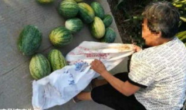 吃瓜最新事件爆料枣庄,揭秘吃瓜群众热议的最新事件内幕